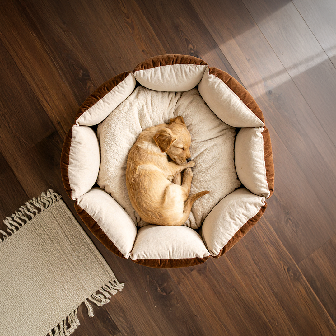 Octagon Cozy Dog Bed