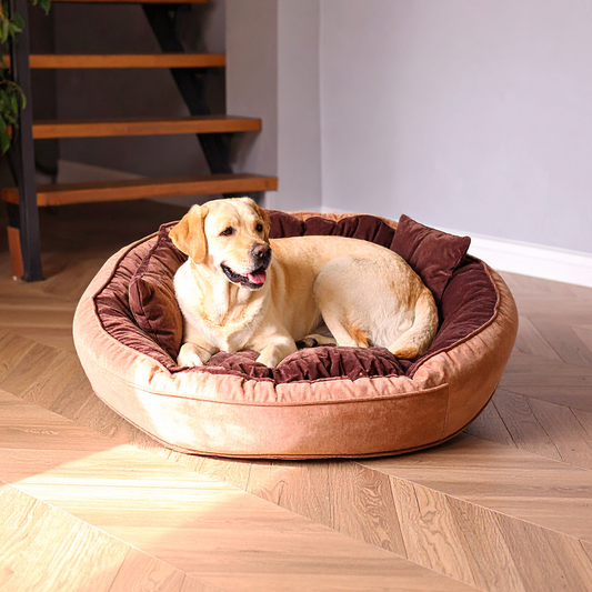 Dual-Color Ethnic Velvet Round Dog Bed